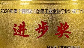 公司榮獲2020年度自治區(qū)工業(yè)企業(yè)對標(biāo)工作“進(jìn)步獎(jiǎng)”